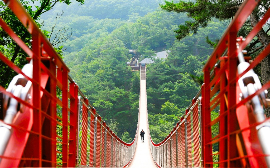 Von Seoul aus: DMZ-Tagestour mit Besuch der Hängebrücke Gamaksan (DMZ + Suspension Bridge Tour)
