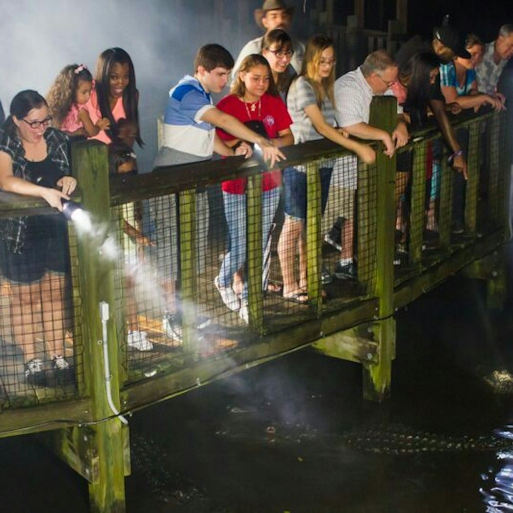 Gatorland Orlando: Gator Night Shine