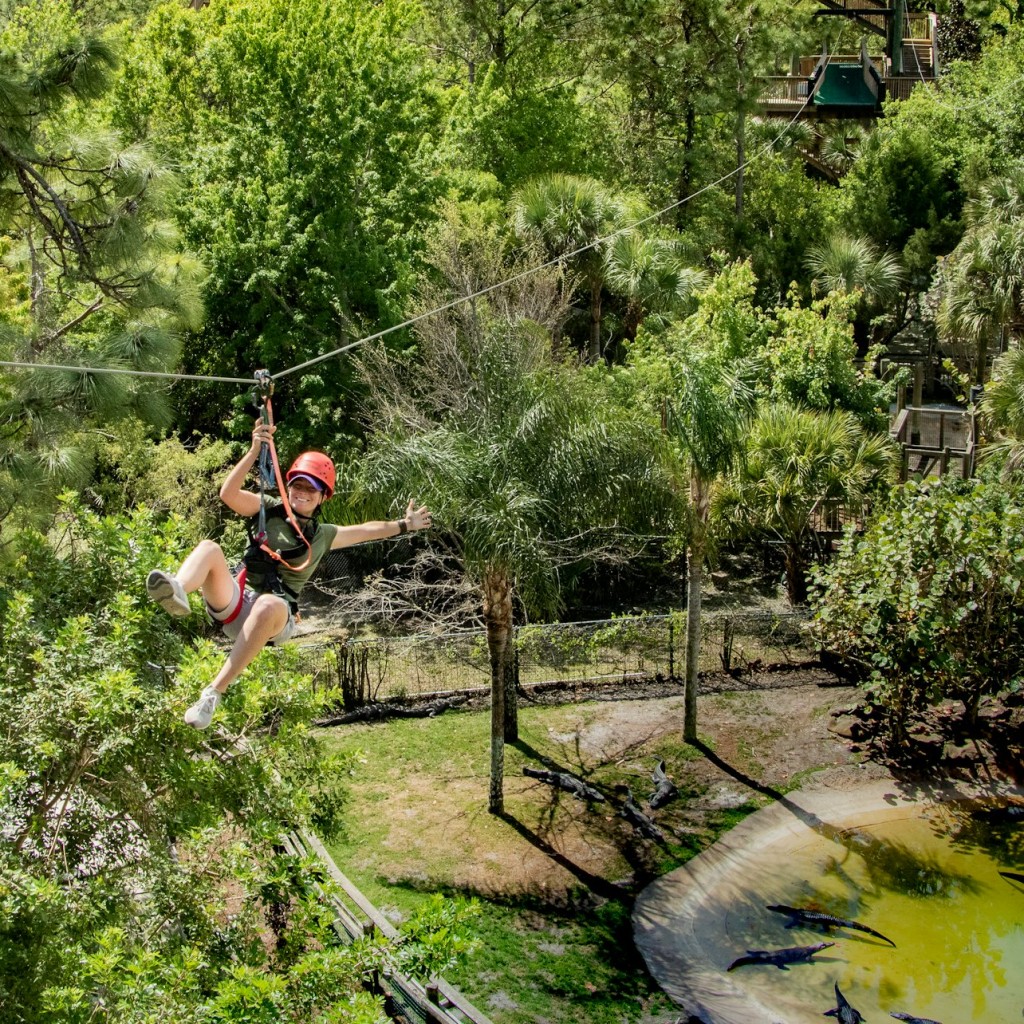 Gatorland Orlando: кричащая линия Gator Zip Line