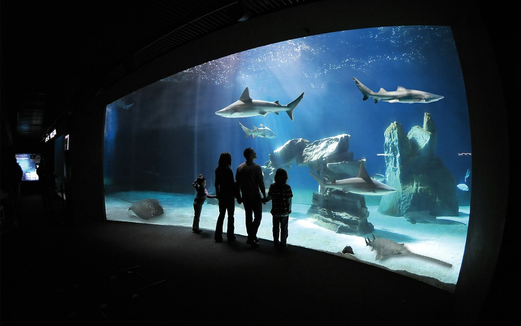 Genua Aquarium Tickets (Tickets to Genoa Aquarium with Lunch)