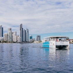 Gold Coast Hop-On Hop-Off Ferry Pass