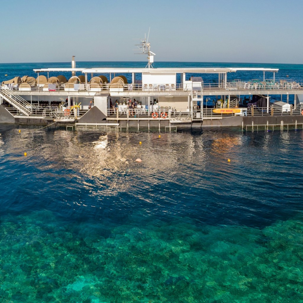 Grande Barriera Corallina: tour di 2 giorni in pontone su Reefsleep da Airlie + pasti