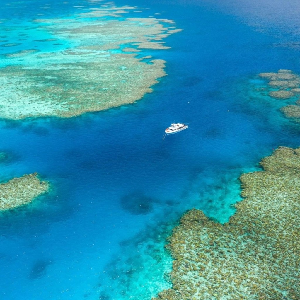 Grande barriera corallina e MOUA: tour guidato di snorkeling + colazione + pranzo