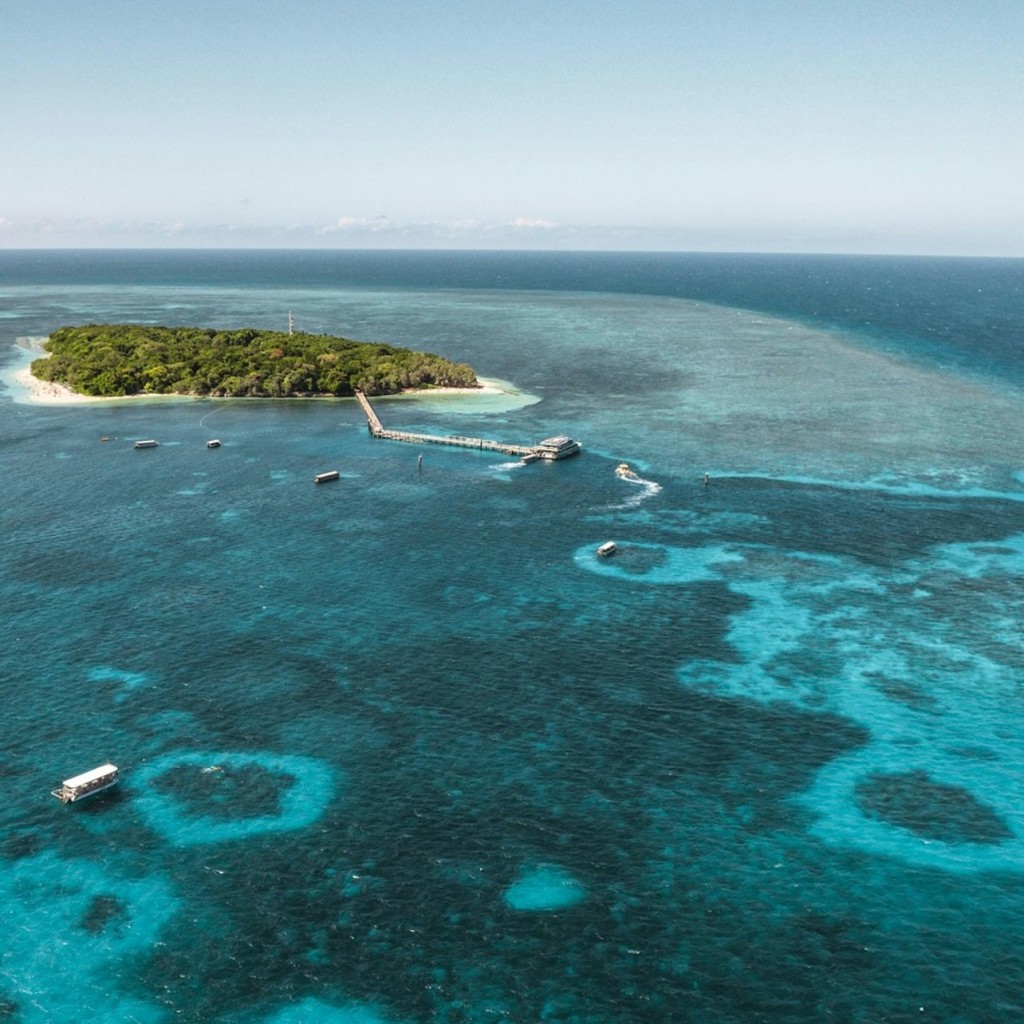 Green Island: Creuer d'un dia des de Cairns