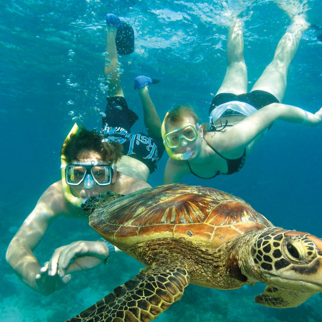 Tour per l'Illa Verda: creuer en catamarà des de Cairns