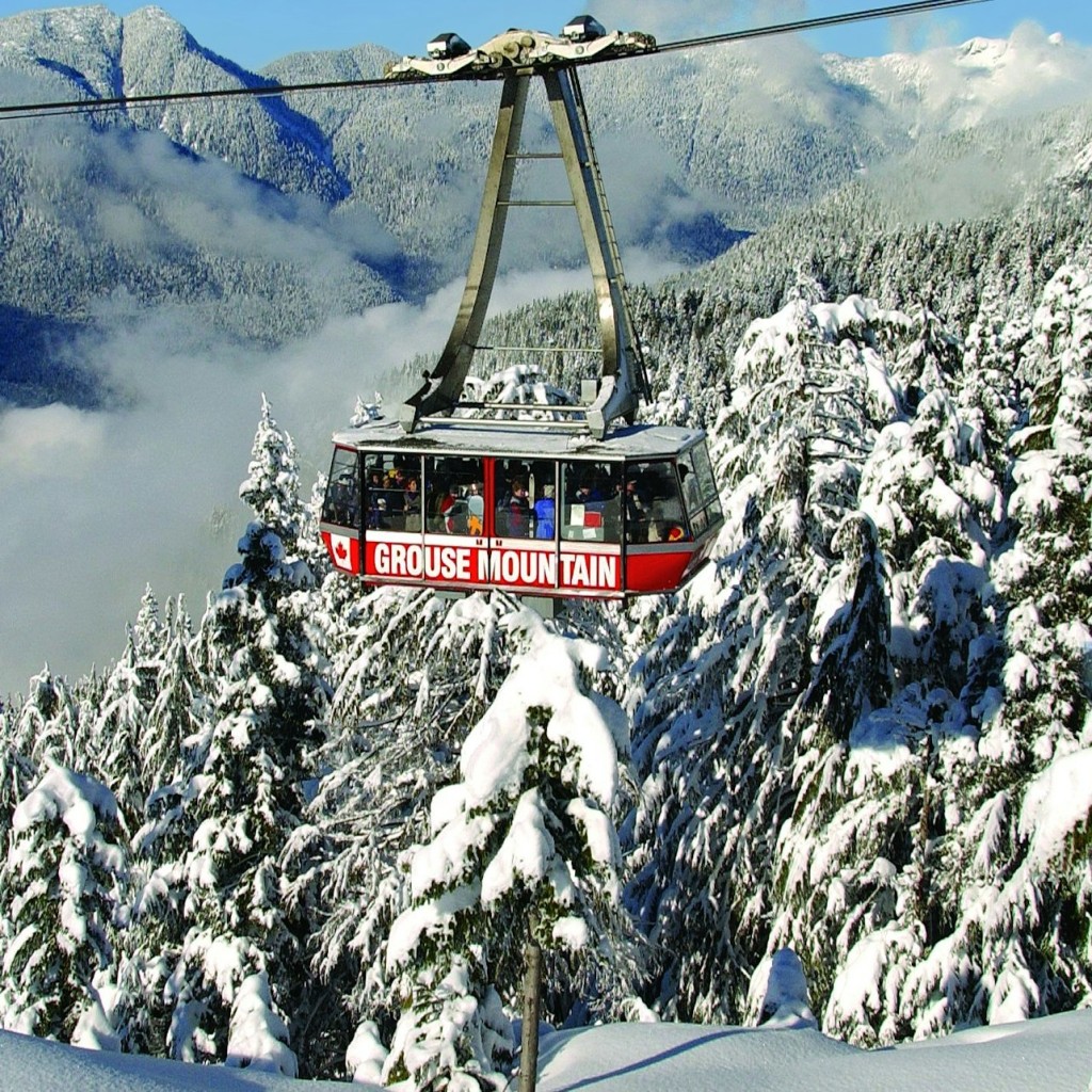 Mont Grouse : Billet d'entrée
