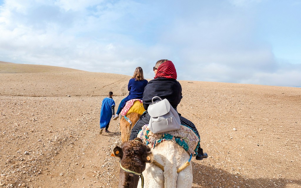 Excursion d'une demi-journée dans le désert d'Agafay avec balade bà dos de chameau ou en quad et thé marocain (Agafay Quad Ride )