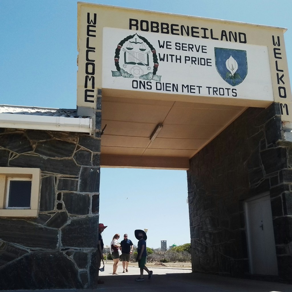 Excursión de medio día a la Isla Robben