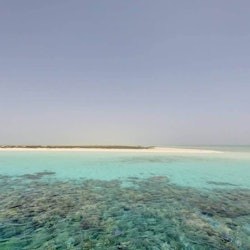 Hamata: Snorkeling + Roundtrip Transfer + Lunch