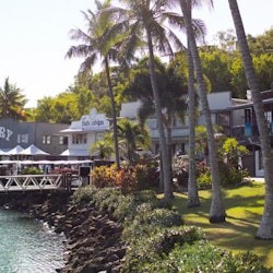 Hamilton Island: Day Cruise from Airlie + Lunch