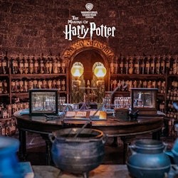 Harry Potter Warner Bros. Studio London: Entry + Train Transfer