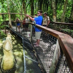 Hartley's Crocodile Adventures: Entry Ticket