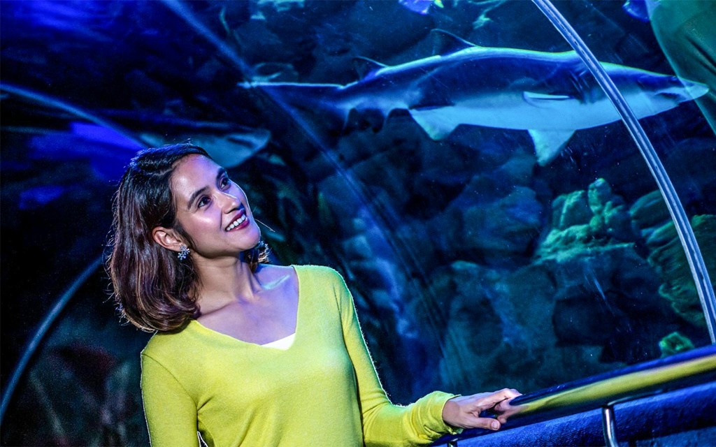 Aquaria KLCC Eintrittstickets (Admission Tickets)