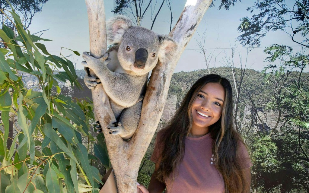 Entradas Zoo de Sydney (Entry Ticket)