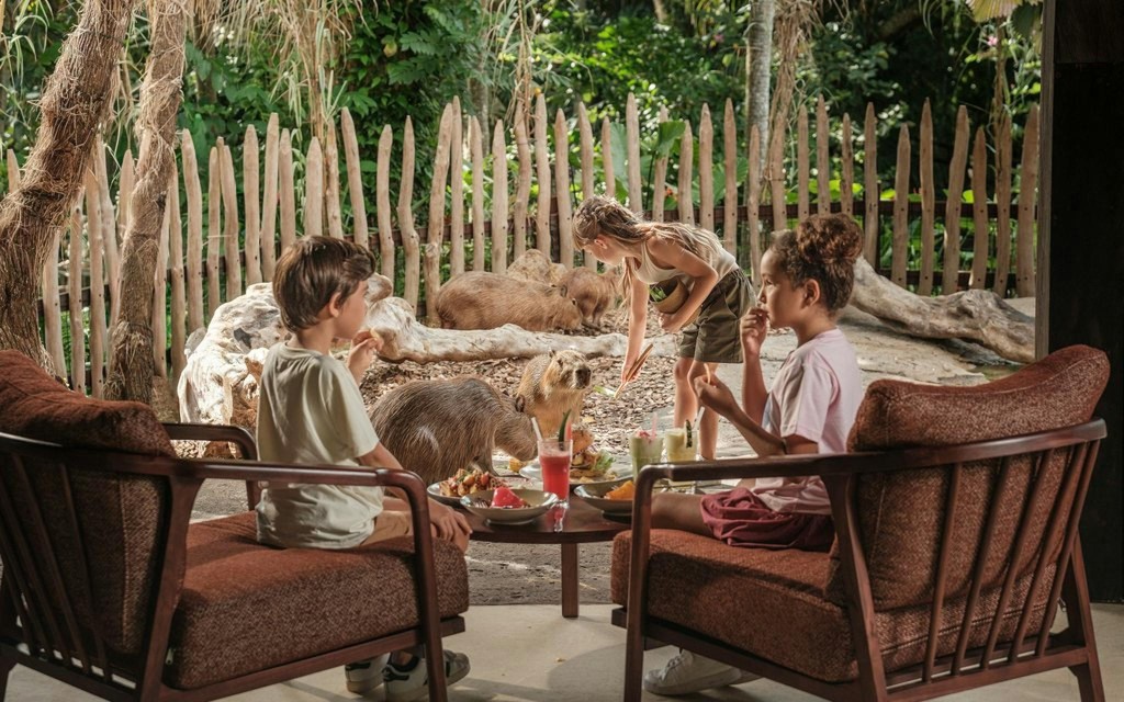Bali Zoo Eintrittskarten (Bali Zoo Entry Tickets)