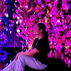 iMUSEUM: Entry Ticket