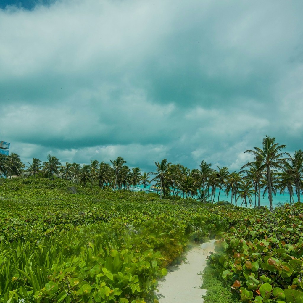 Isla Contoy e Isla Mujeres: tour in barca e snorkeling da Cancún
