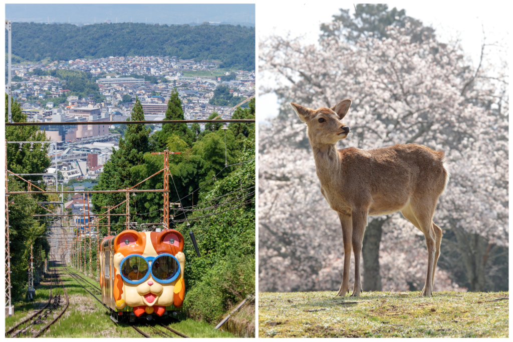 Kintetsu Rail Pass - Train & Bus Pass in Osaka, Nara, Kyoto, Mie (Ise Shima), Nagoya (2-Day Train & Bus Pass - Osaka, Nara, Kyoto)