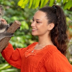 Kuranda Koala Gardens & Birdworld Kuranda: Entry Ticket