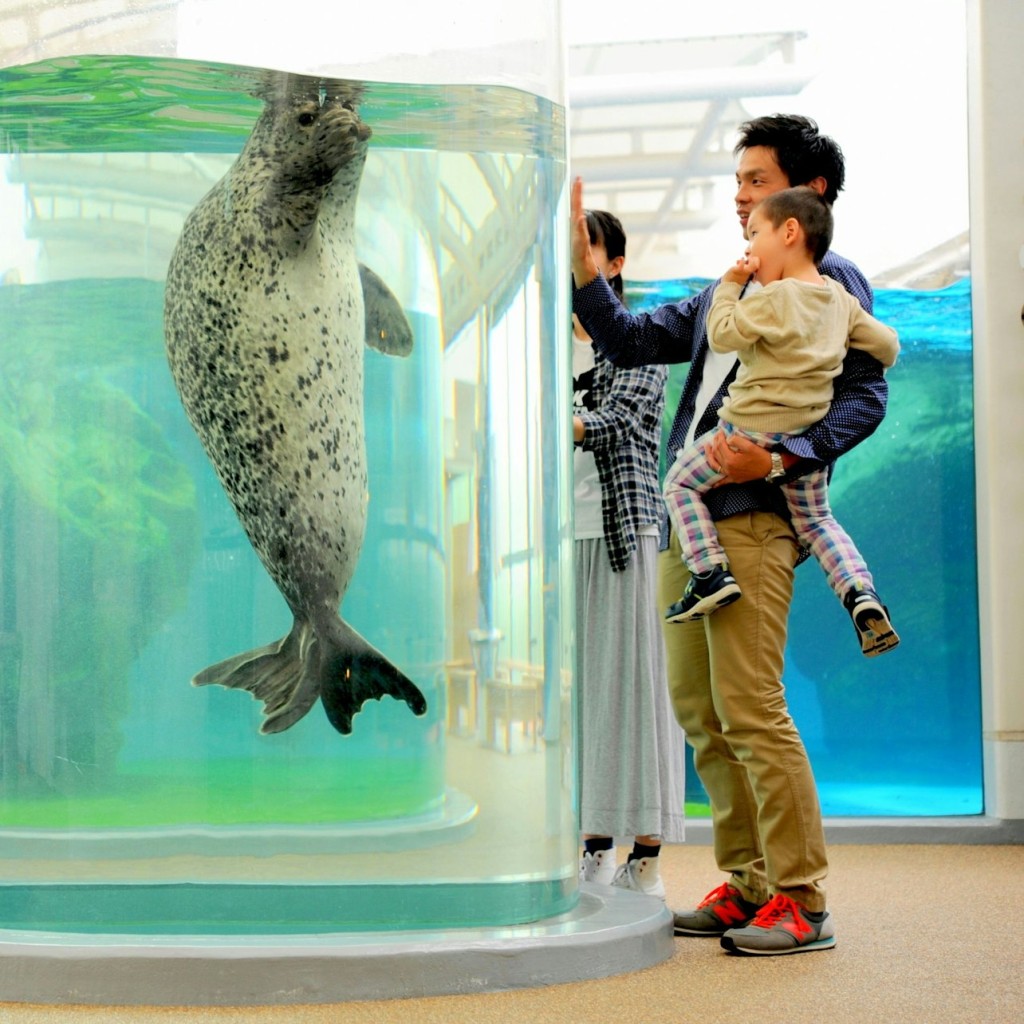 L'Aquàrium de Kyoto: Tiquet d'entrada