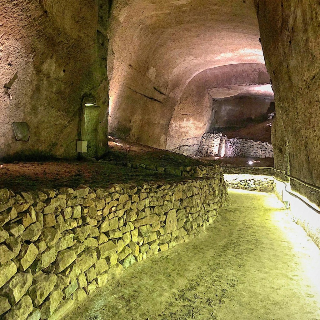 Musée Lapis + Pompéi + Guide audio numérique de la ville de Naples
