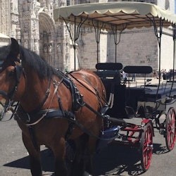 Lisbon: Horse-Drawn Carriage Ride in Belém