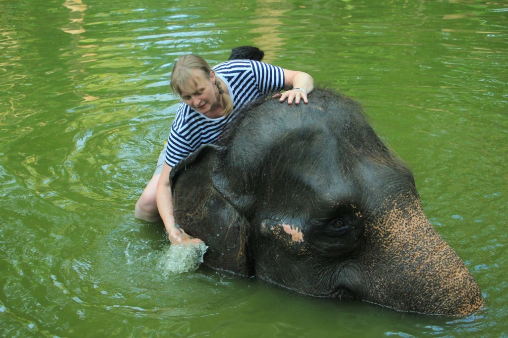 Lombok Wildlife Park Elephant Bath Experience (Lombok Wildlife Park - Elephant Bath Experience with High Tea (International Travellers))