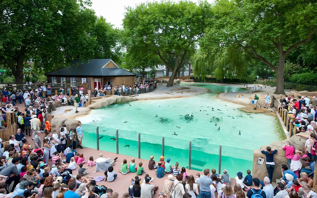 Billets d'entrée au zoo de Londres
(Zoo Nights Entry Ticket)