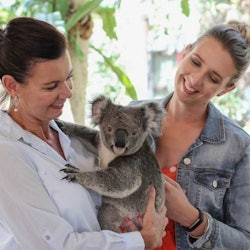 Lone Pine Koala Sanctuary: Entry Ticket