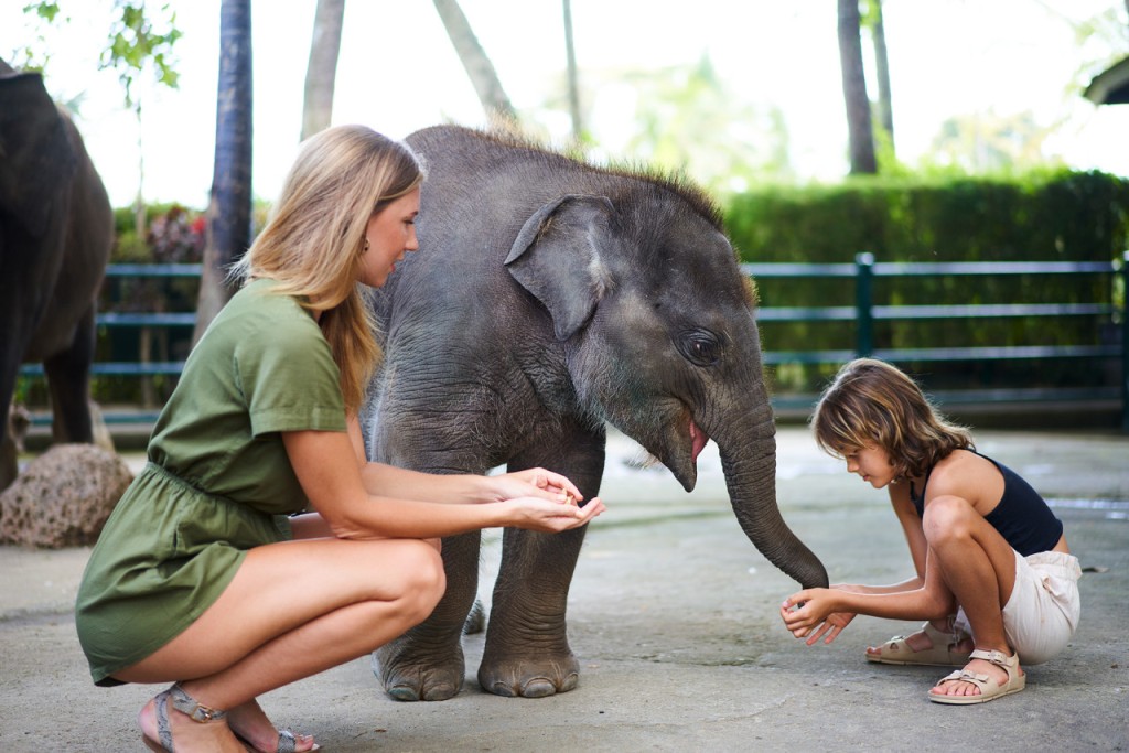 Mason Elephant Park Bali by Mason Adventures (Formerly known as Elephant Safari Park) (Admission (International Travellers))
