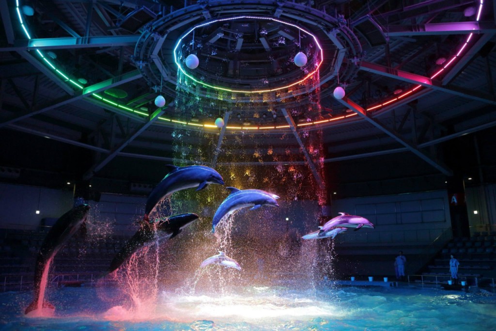 Maxell Aqua Park Shinagawa (Maxell Aqua Park Shinagawa - Admission (Toddler 4-5 years old))