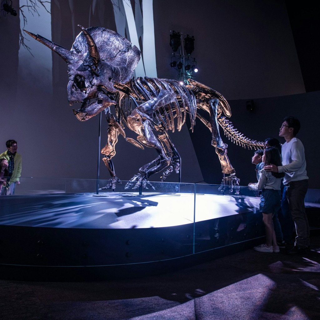 Museo di Melbourne: Biglietto d'ingresso