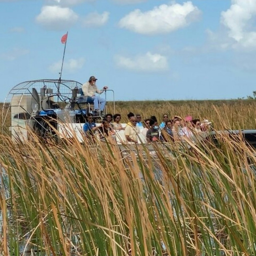 Miami: Everglades National Park Guided Tour + Airboat Ride from South Beach