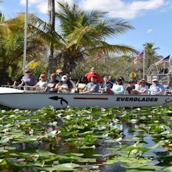 Miami: Everglades Safari Park Express Tour + Airboat Ride