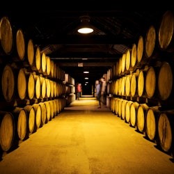 Midleton Distillery (Jameson): Behind-the-Scenes Guided Tour