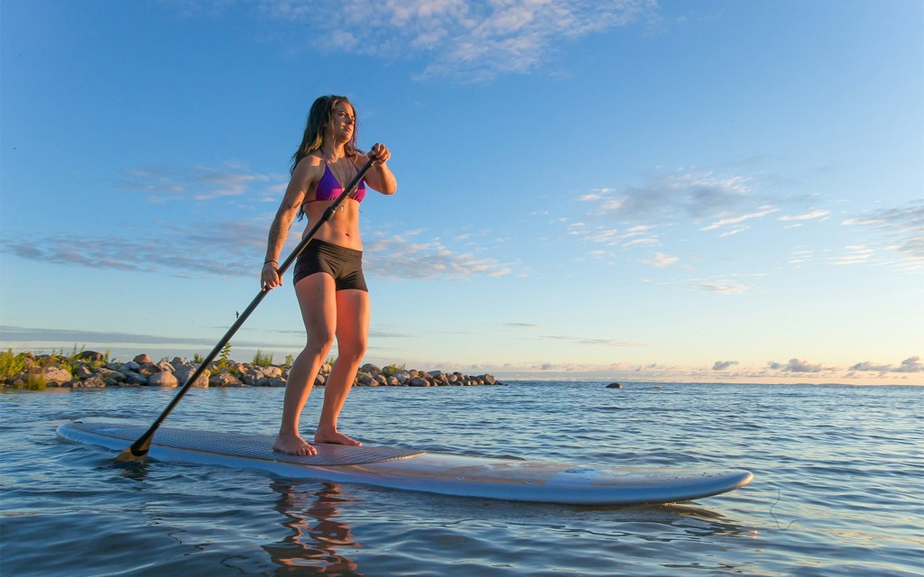 Passe de um dia para a Ilha Moreton (Moreton Island Day Pass)