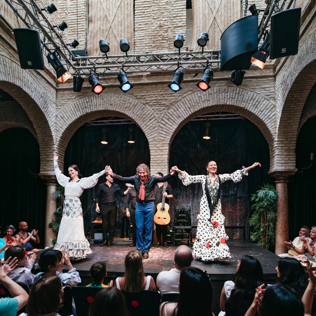 Museo del Baile Flamenco: Eintrittskarte + Flamenco Matinée Show