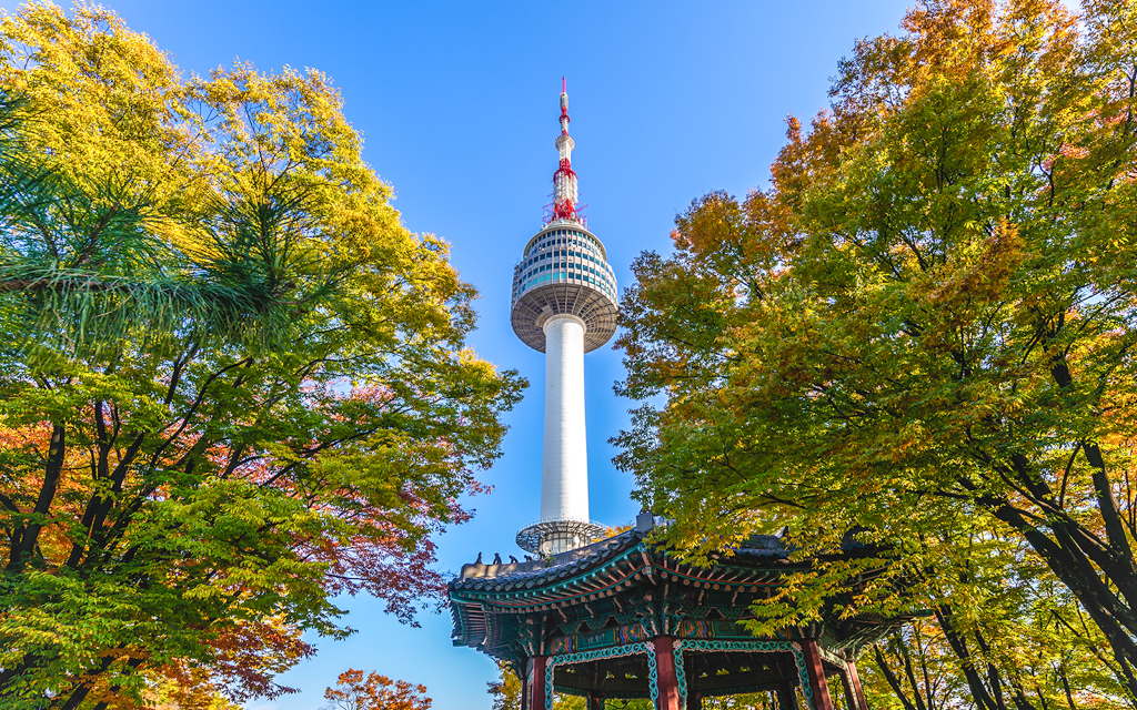 Observatorio de la Torre N de Seúl con billetes de ida y vuelta del Teleférico de Namsan (Recogida de billetes: Myongdong Rednow) (N Seoul Tower Observatory Ticket + Namsan Cable Car Round-trip Ticket)