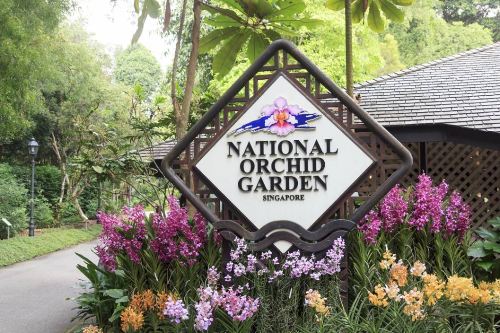 National Orchid Garden Ticket (National Orchid Garden - Admission)
