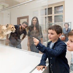 Natural History Museum Graz - Joanneumsviertel