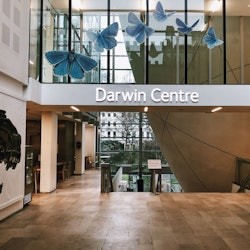 Natural History Museum London: Semi-Private Guided Tour