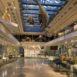 Natural History Museum of Los Angeles County: Entry Ticket