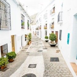 Nerja & Frigiliana: Guided Tour from Granada