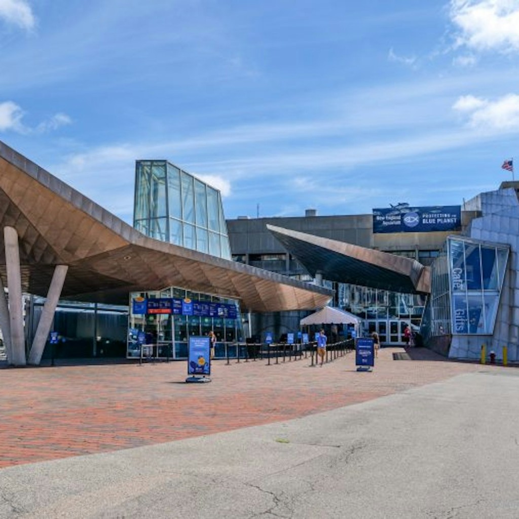 New England Aquarium: bilhete de entrada