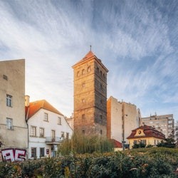 New Mill Water Tower: Entry Ticket