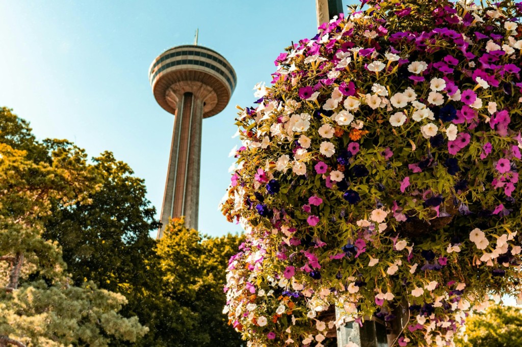 Cataratas del Niágara (EE. UU. y Canadá): tour guiado con crucero en barco, Cave of the Winds y Skylon Tower (Tour guiado con crucero en barco, Cave of the Winds y Skylon Tower)