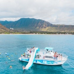 Oahu: Guided Dolphin Watching & Snorkeling Tour + Lunch + Roundtrip Transfer