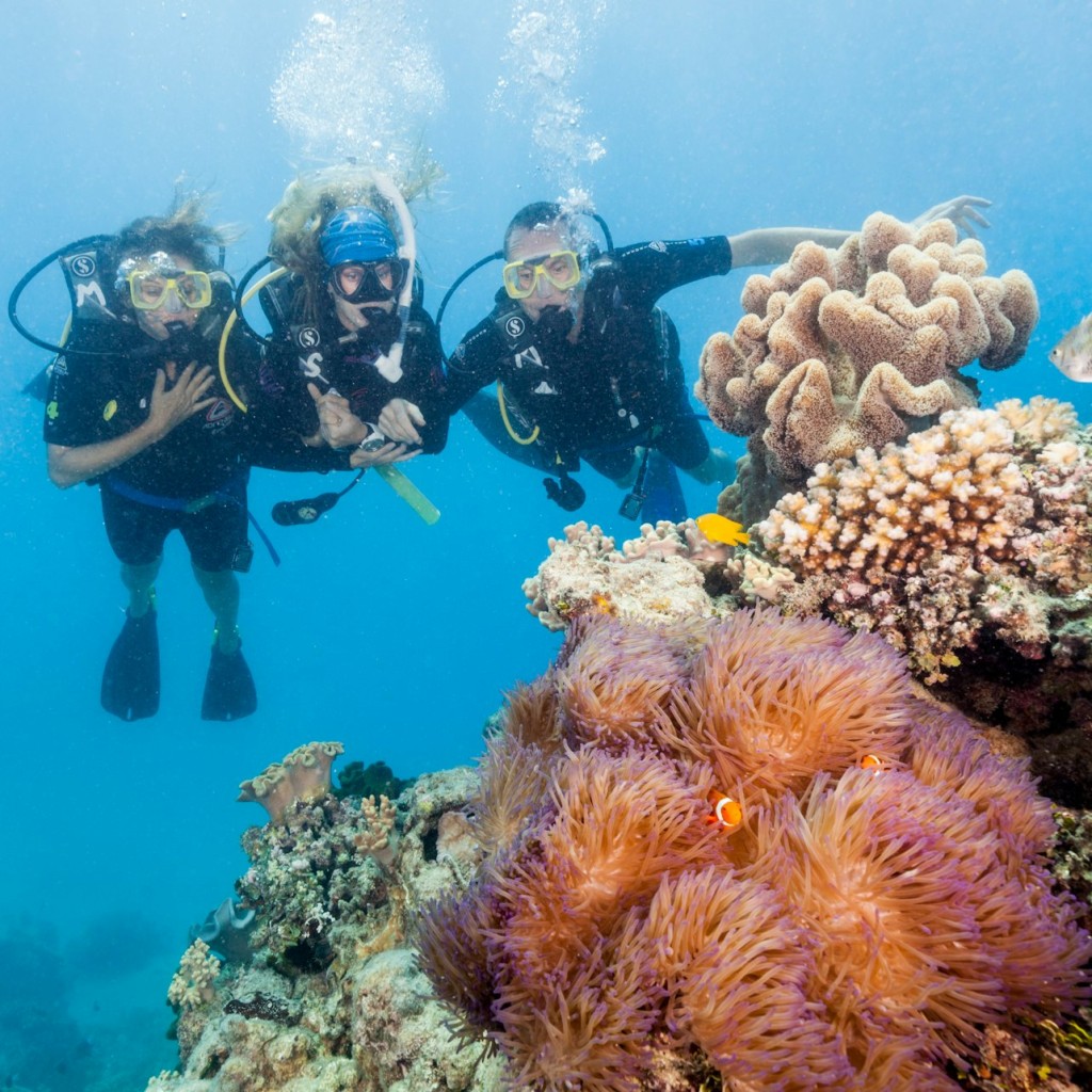 Tour della Grande Barriera Corallina Ocean Freedom