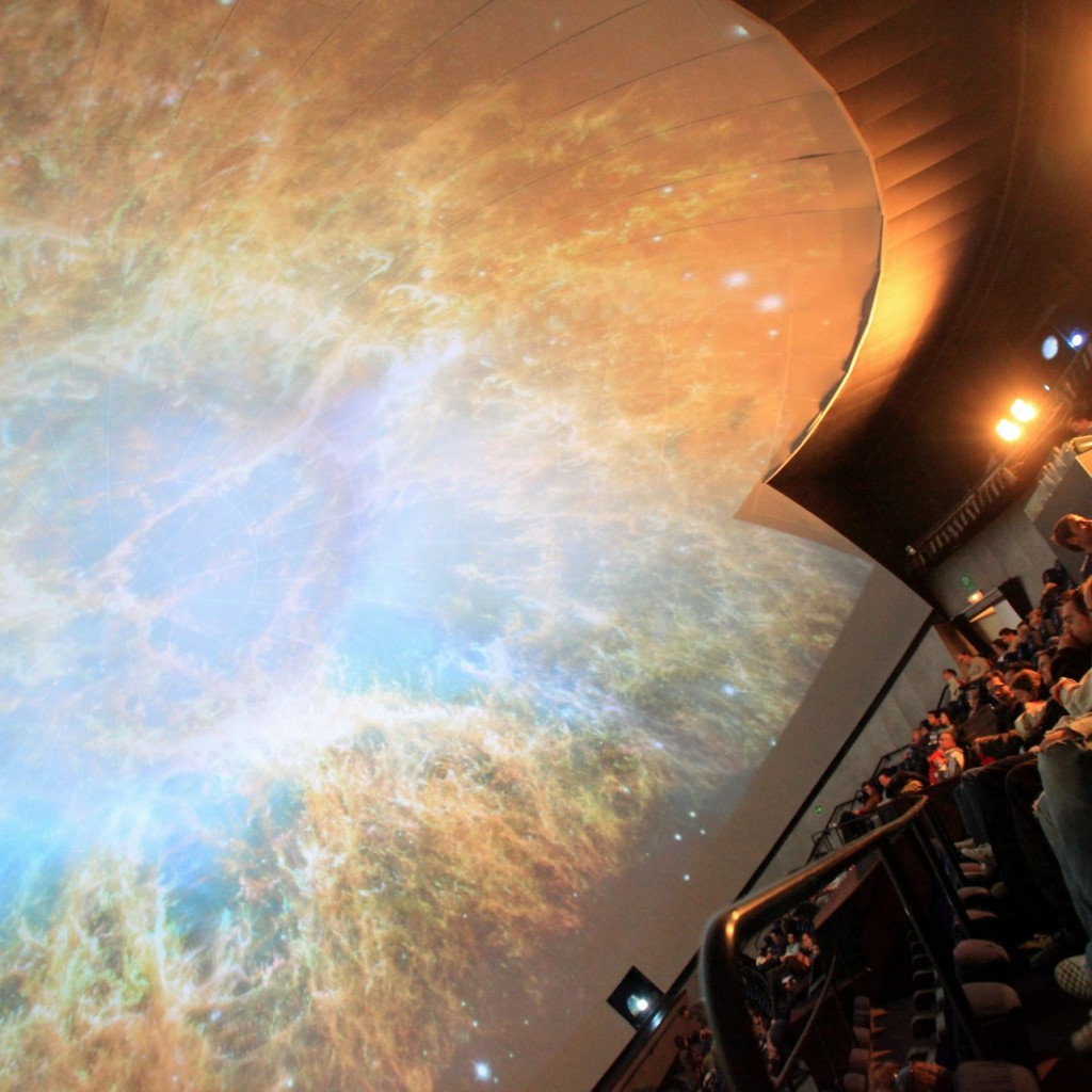 Oceanogràfic, Science Museum & Hemisfèric: Entry Ticket