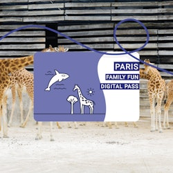 Paris Family Fun Pass